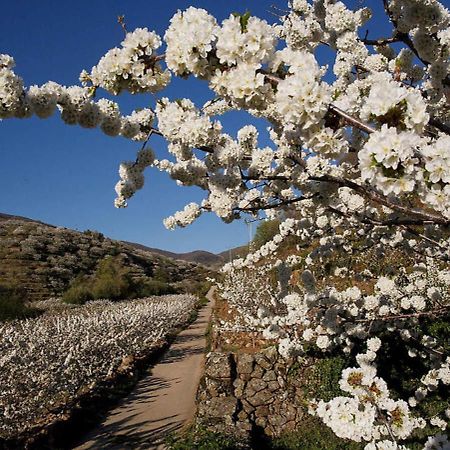 Casa Rural Arbequina, Refugio De Primavera Casas del Monte Kültér fotó